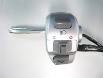 Switch Handle with Lever