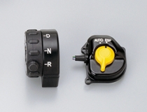 Handle switches (ATV)